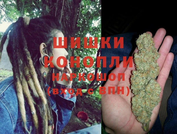 гидра Новозыбков