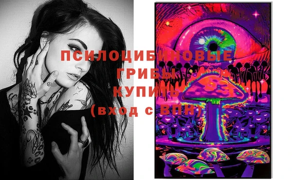 MDMA Няндома